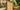 Overlap fence panel and wooden posts in the middle of a garden with a picturesque house behind