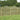 A row of 1.8m high Omega lattice top fence panels.