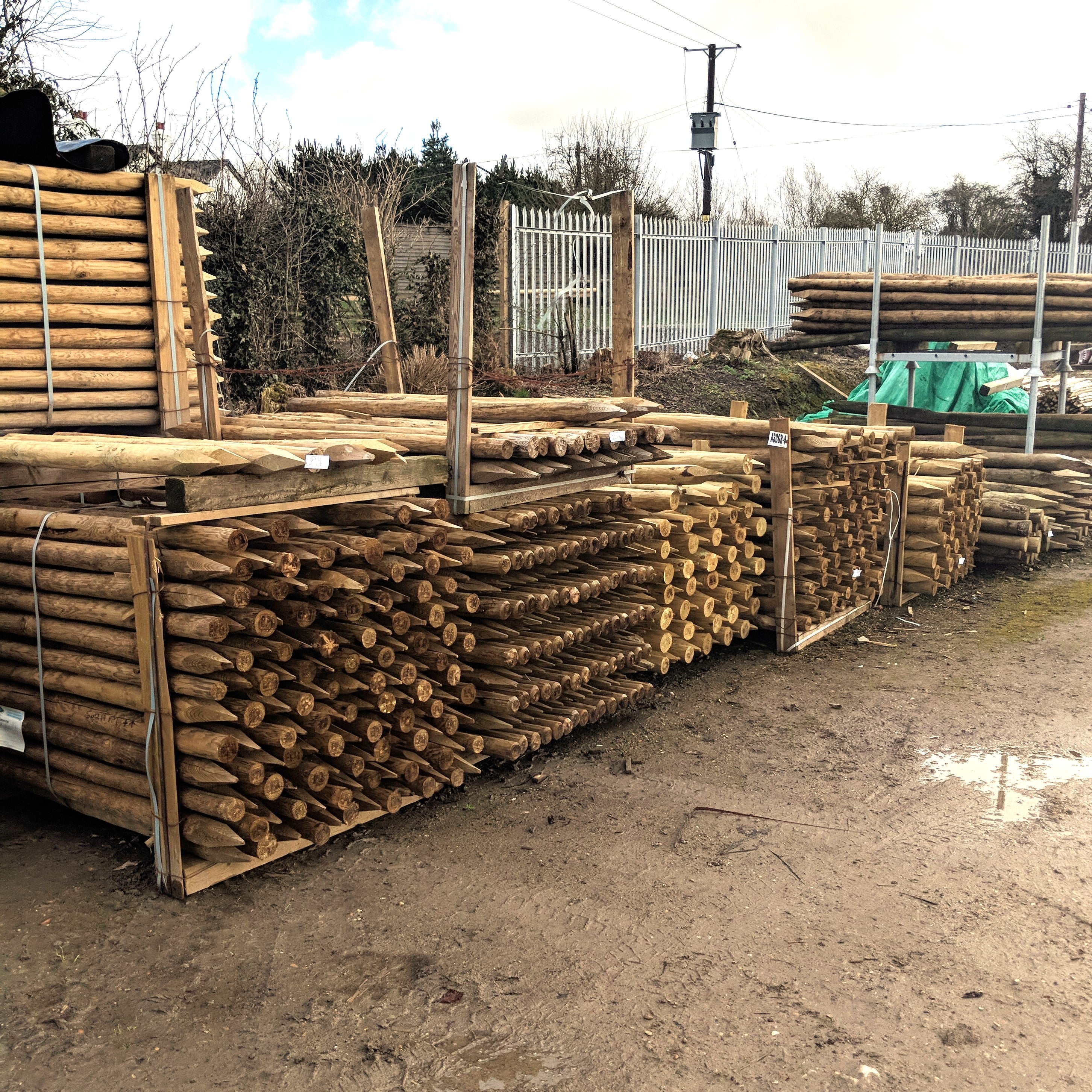 Full Rounded Pointed Posts Fence Peeled Round Pointed Posts for Wire Fencing – Crestala Fencing Centre