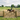 Post & Rail fencing around a Sandschool with a horse and rider behind a 5-bar access gate.
